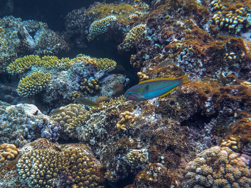 Photograph by Валерия Гуртовая