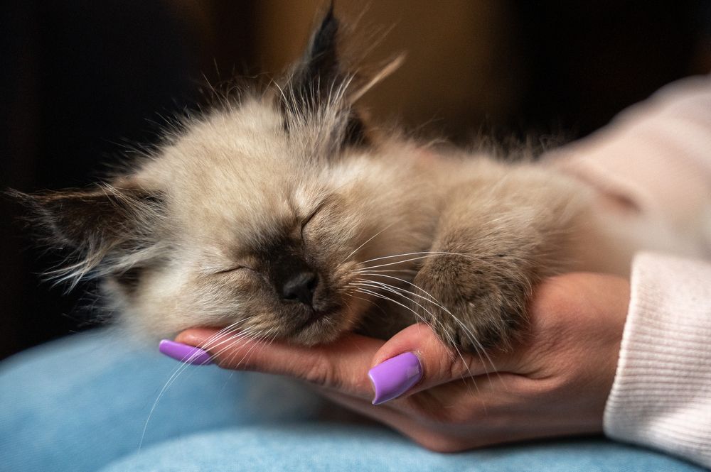 Photograph by Любовь Галушкина