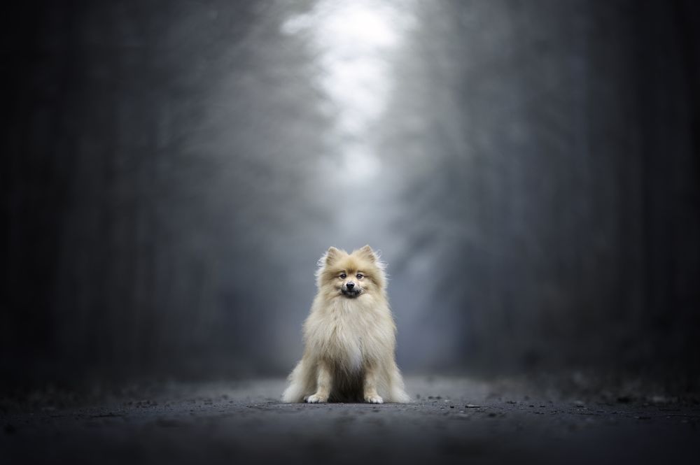 Photograph by Deise de Oliveira