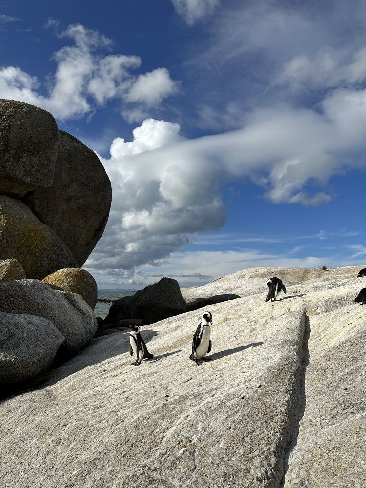 Photograph by Елена