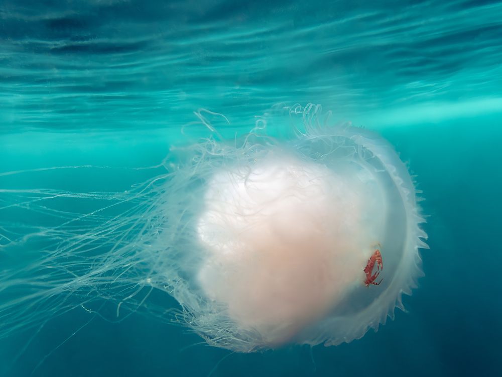 Photograph by Всеволод Сахновский