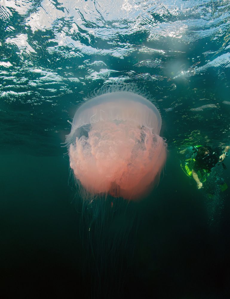 Photograph by Всеволод Сахновский