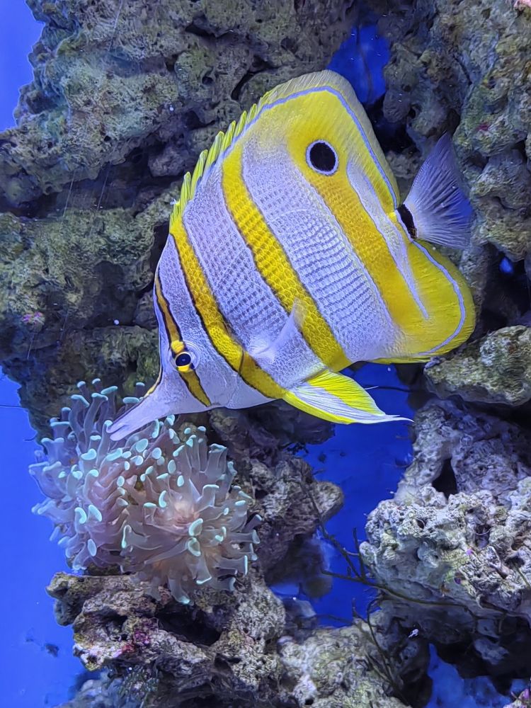 Фотография автора НАТАЛЬЯ СЕВЕР