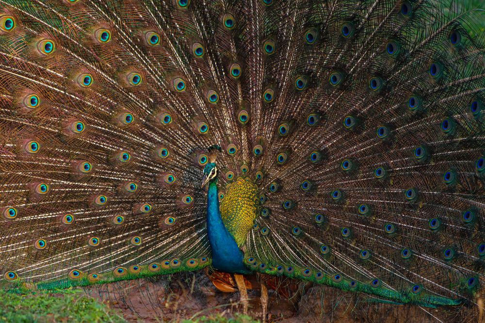 Photograph by Кирилл