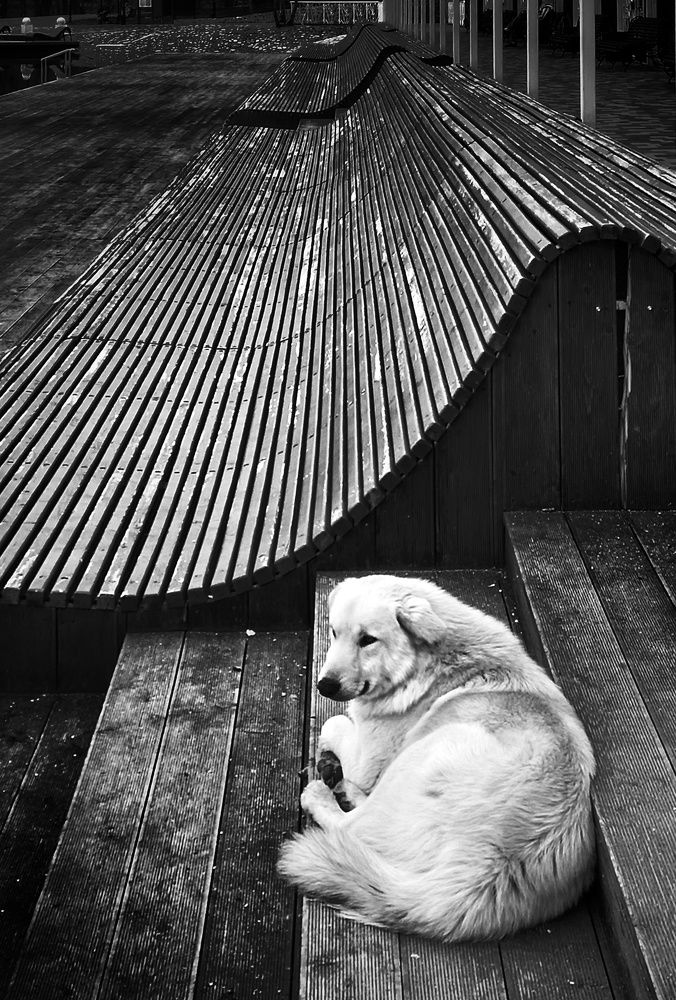 Photograph by 