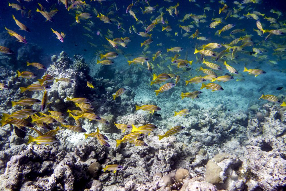 Photograph by Александр Журавлев