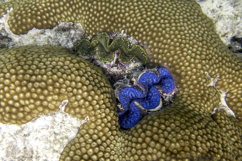 Photograph by Александр Журавлев