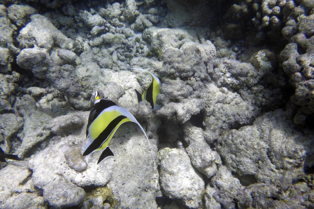 Photograph by Александр Журавлев