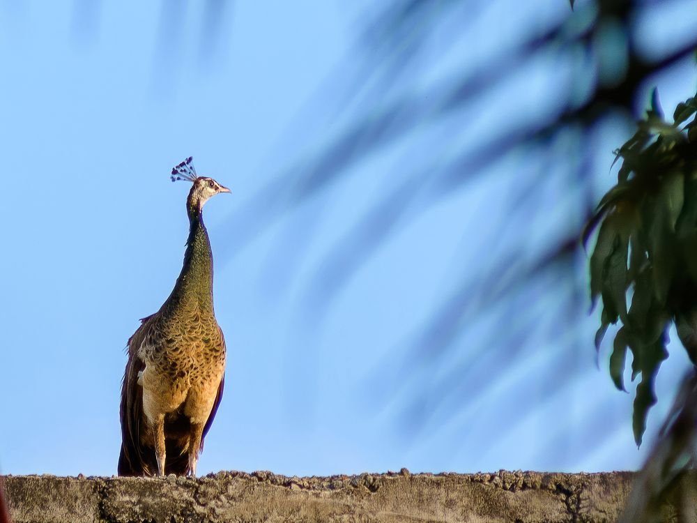 Photograph by Владимир Скранжевский