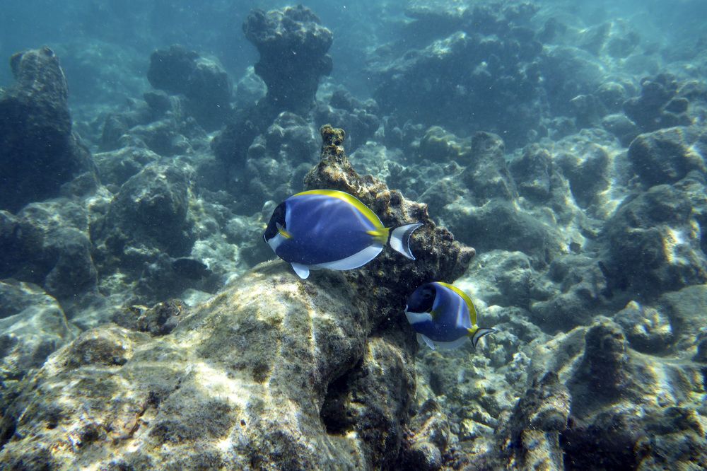 Photograph by Александр Журавлев