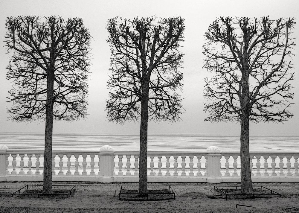 Photograph by 