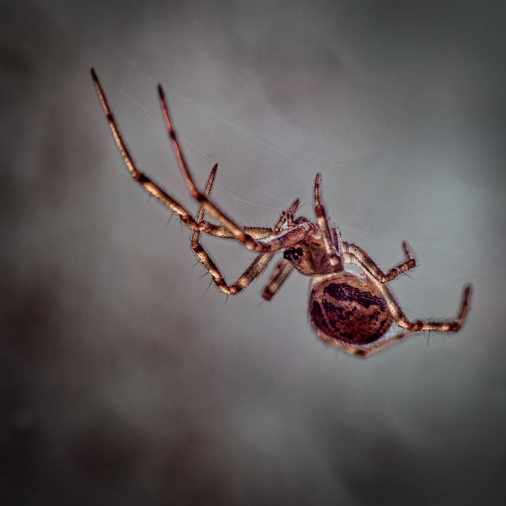 Photograph by Александр Данилов