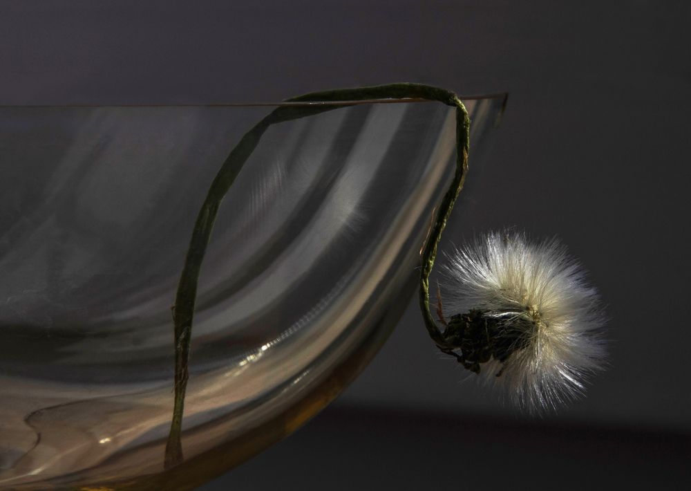 Несломленный