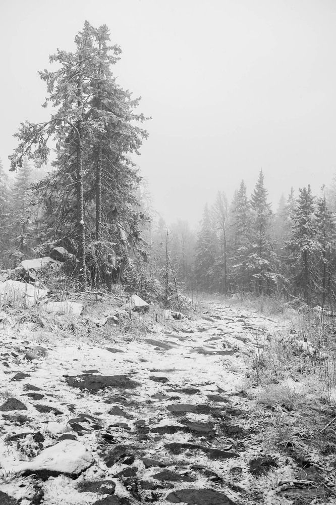 Photograph by Алексей Середенин