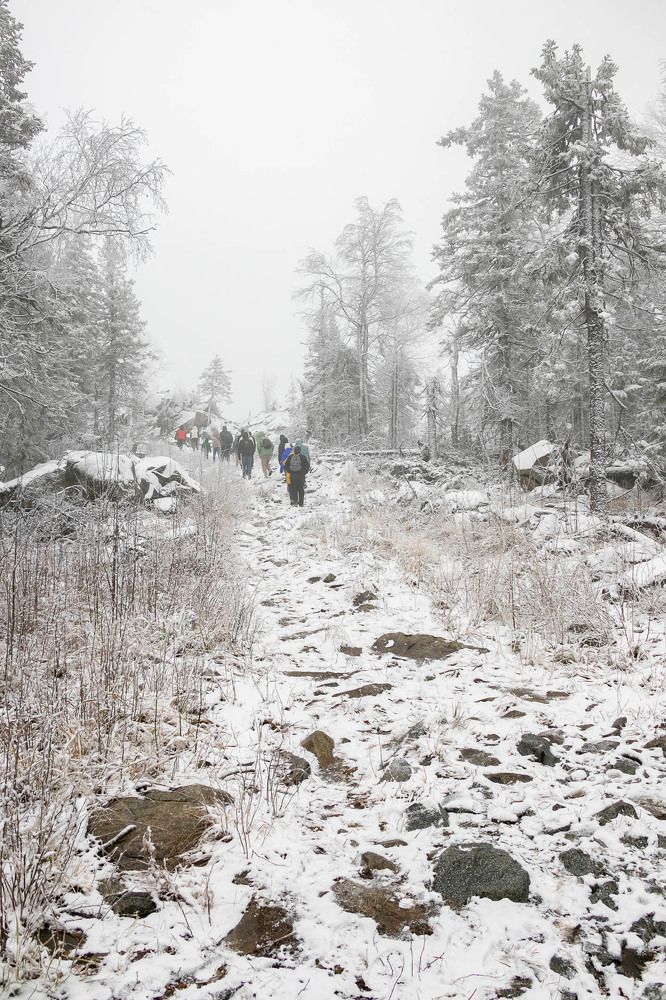Photograph by Алексей Середенин