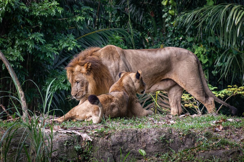 Photograph by Наталья Кокорина