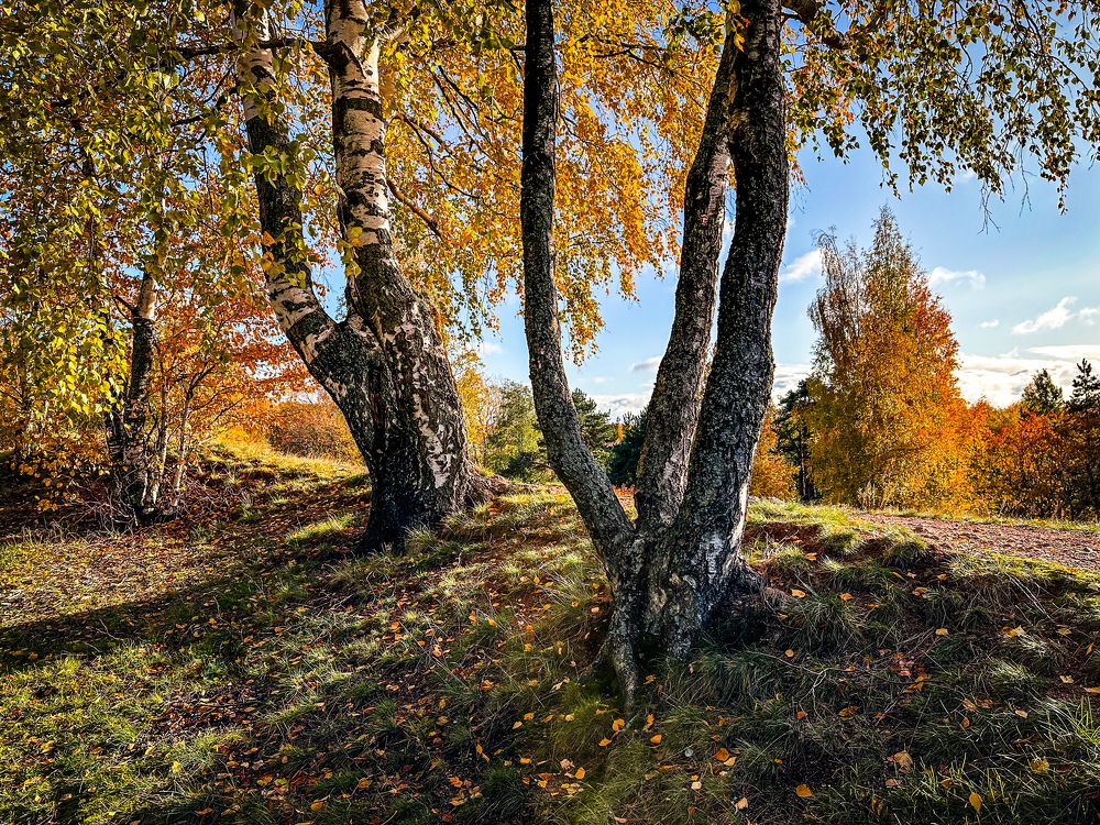 Photograph by Елена Герасимова