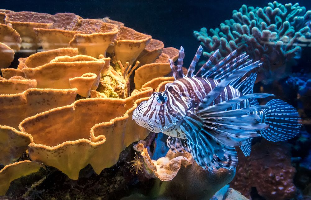 Photograph by Alexandr Makarenko