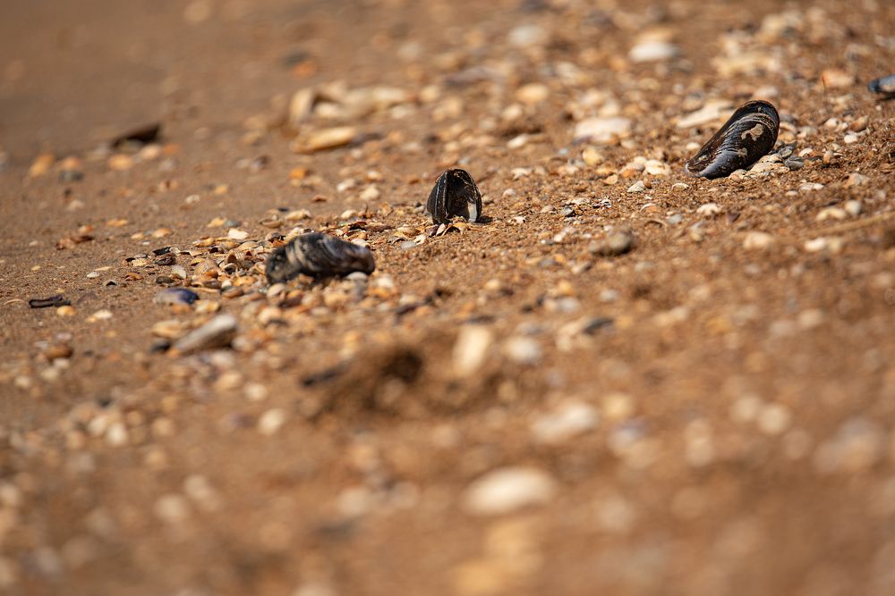 Photograph by наталья залогина