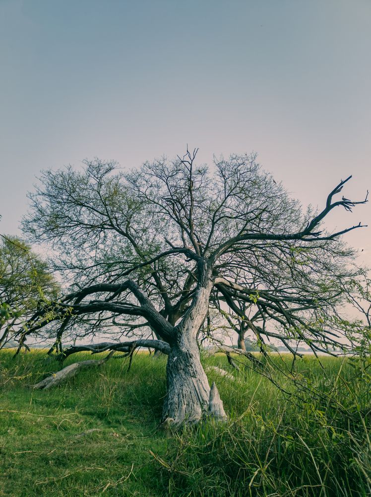 Photograph by Dhruv Mistry