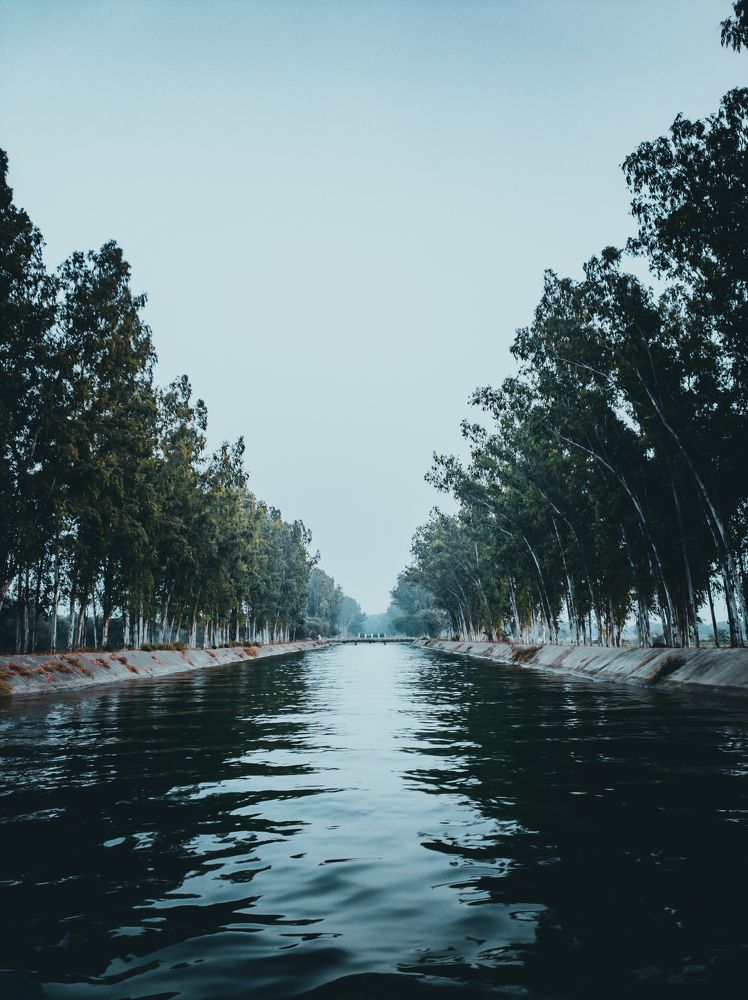 Photograph by Dhruv Mistry