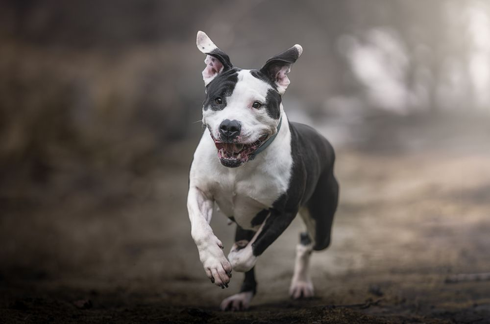 Photograph by Alfonso Maseda Varela