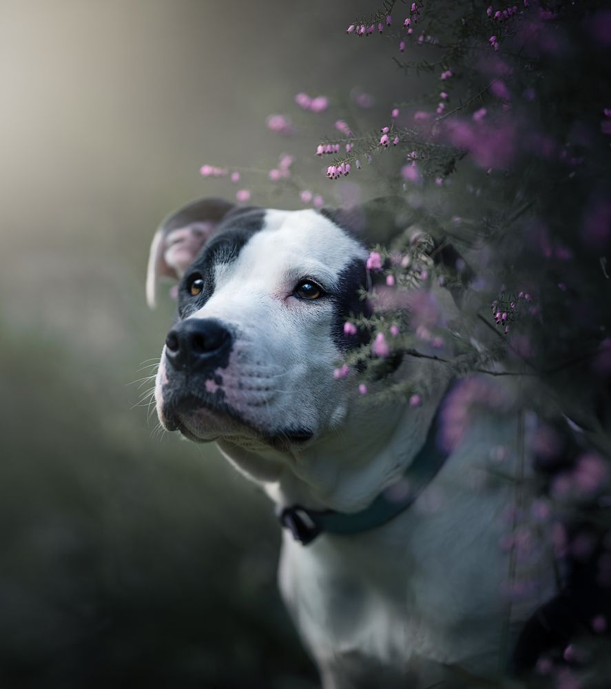 Photograph by Alfonso Maseda Varela