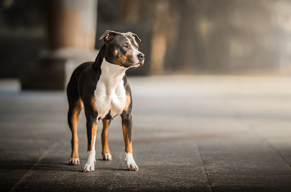 Photograph by Alfonso Maseda Varela