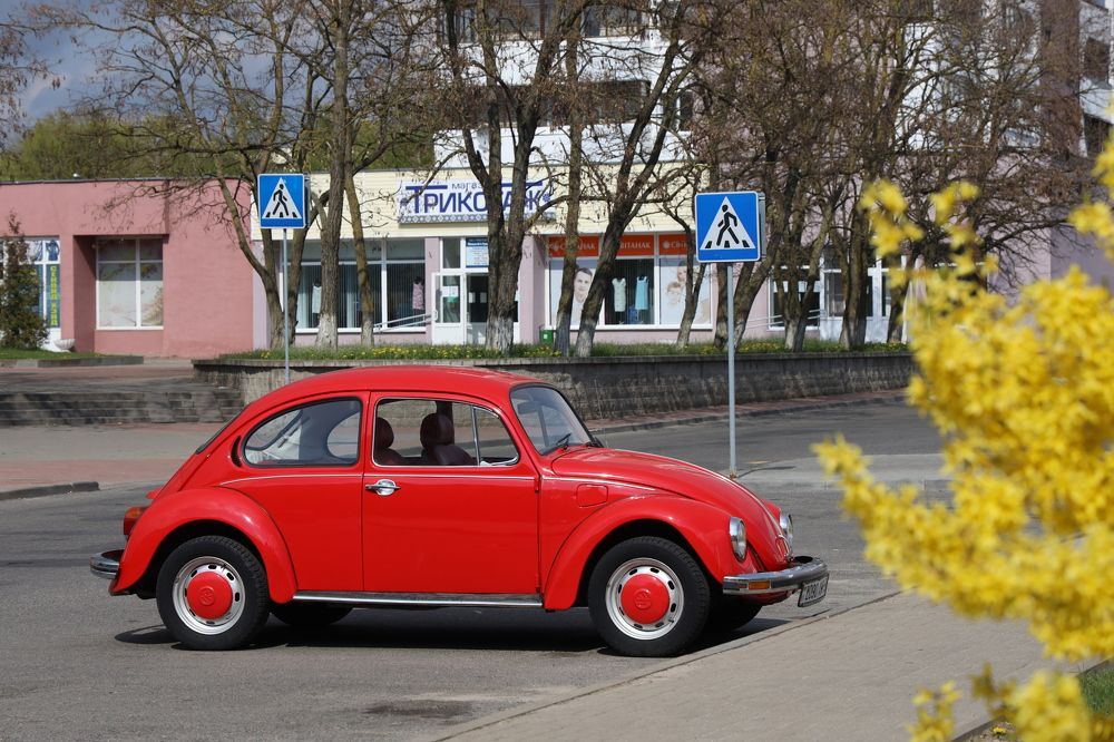 Фотография автора Колосова Елена