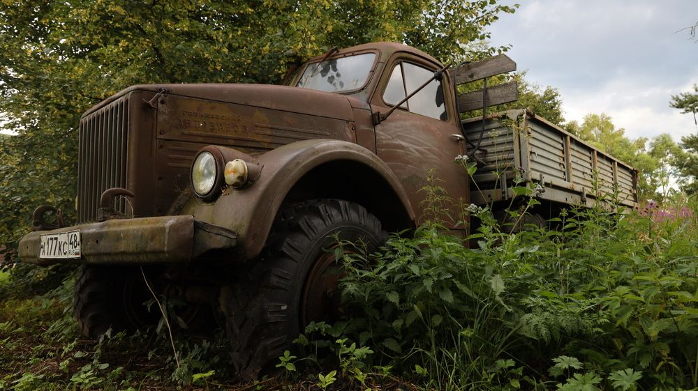 Фотография автора Колосова Елена