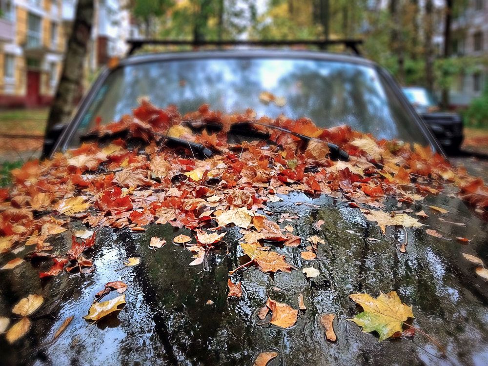 Фотография автора Александр Далла