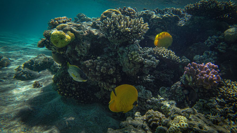 Photograph by Юлия