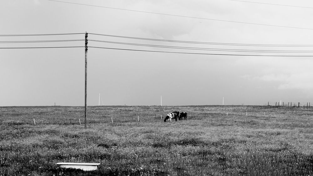 Photograph by Дарья