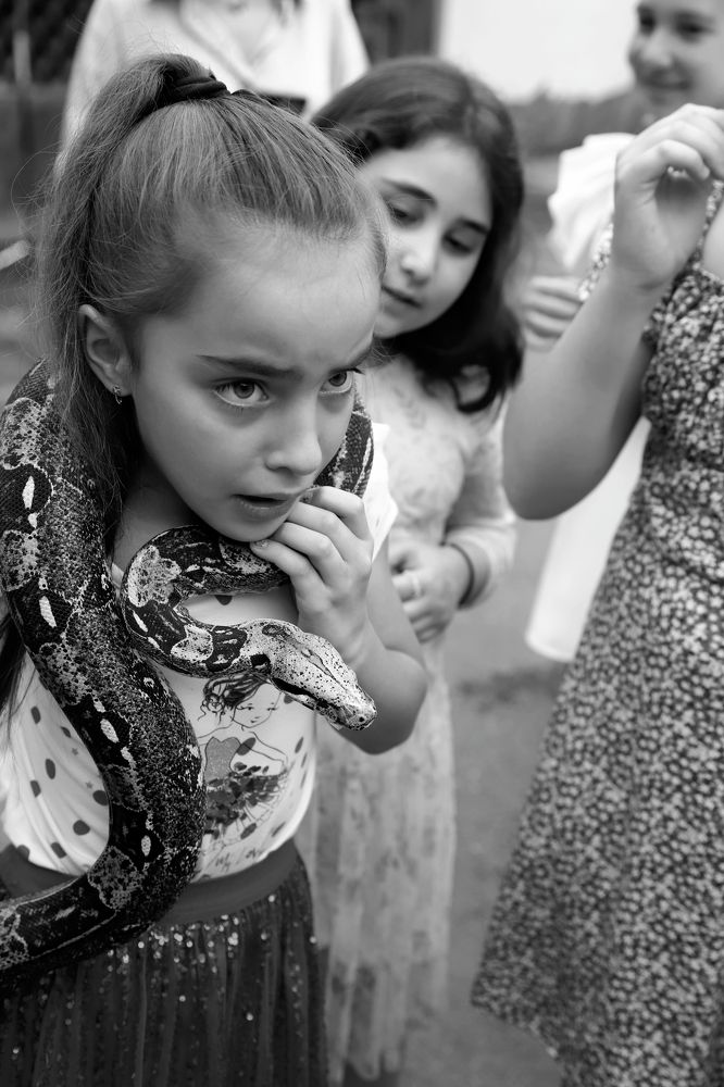 Дикие страсти в городе