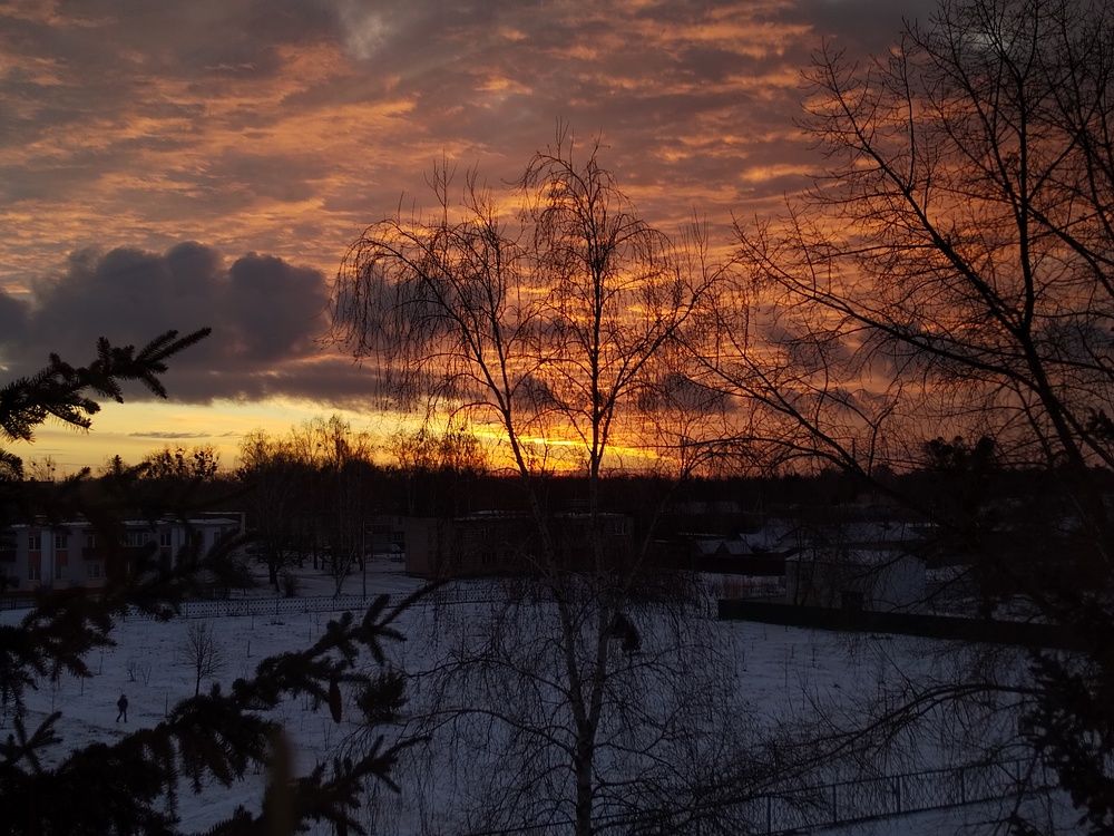 Photo #10488219
