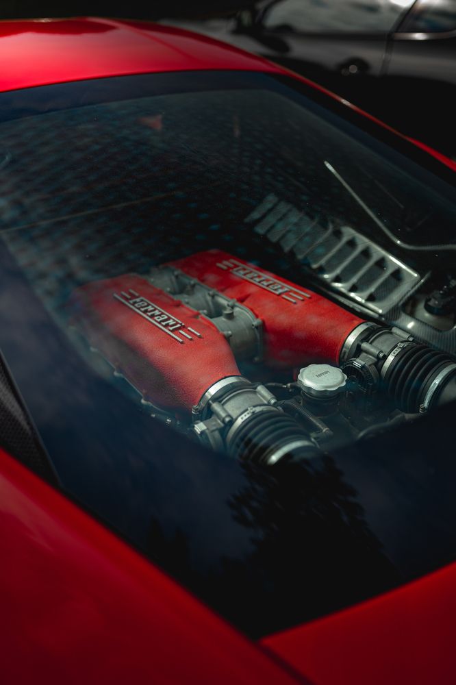 Photograph by Alexey Sapozhnikov