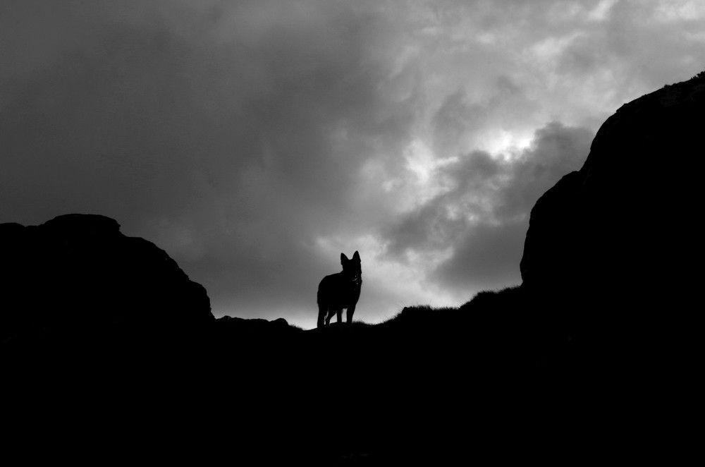 Photograph by Damir Gržin