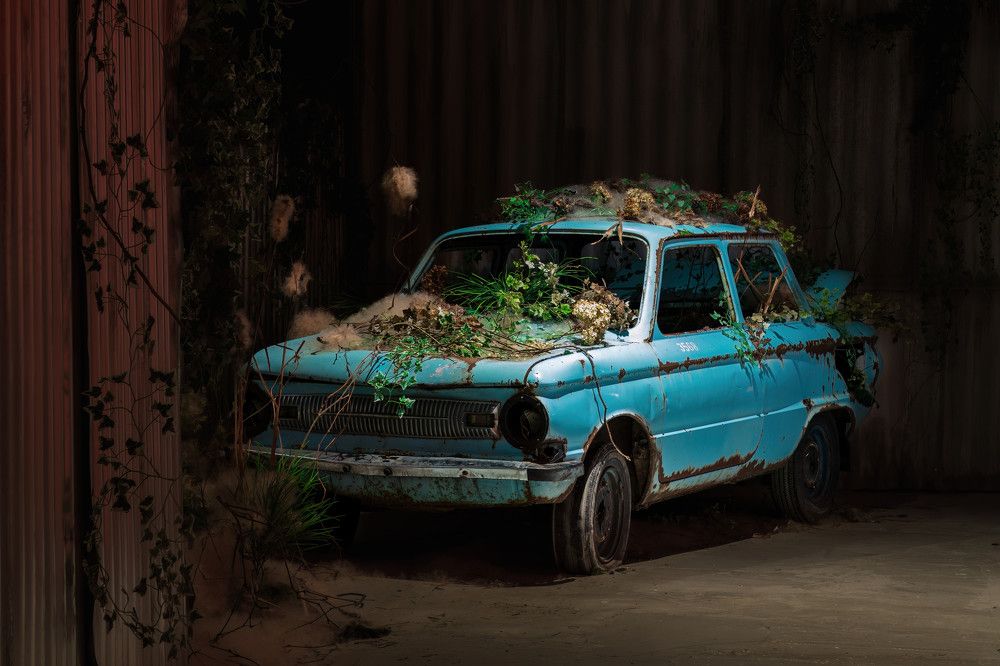 Photograph by Алексей Чеботарев