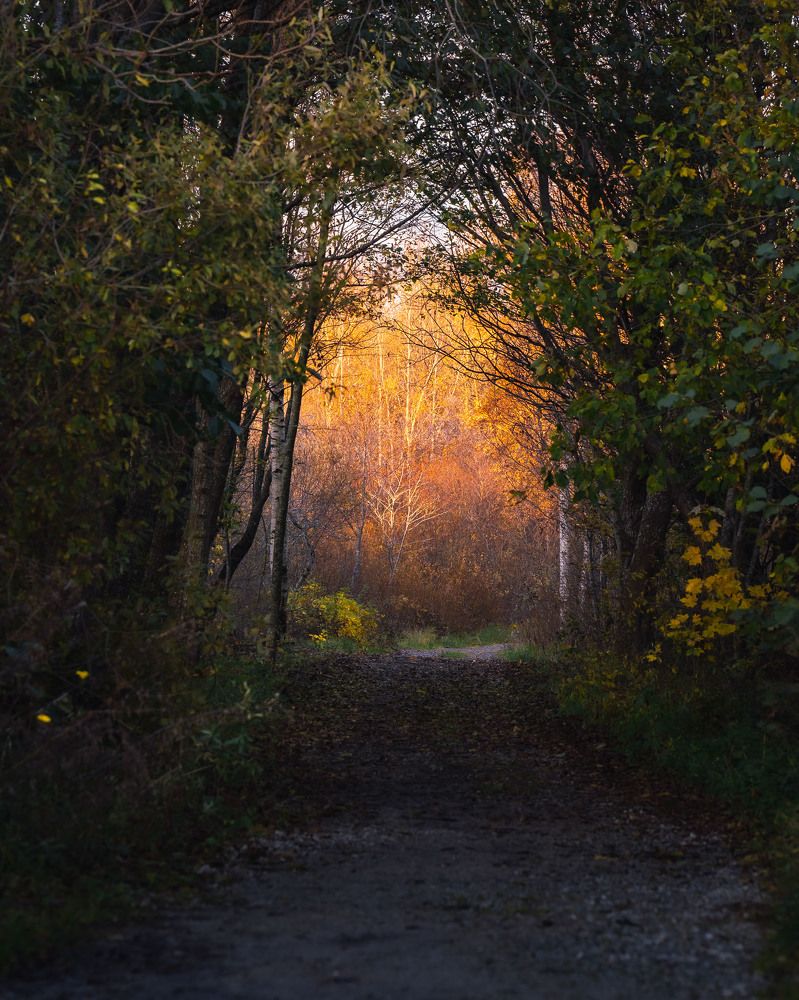 Photograph by Sulev Lange