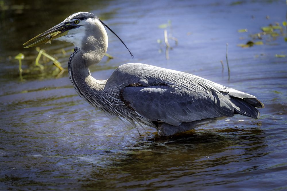 Photograph by Ray Asiala