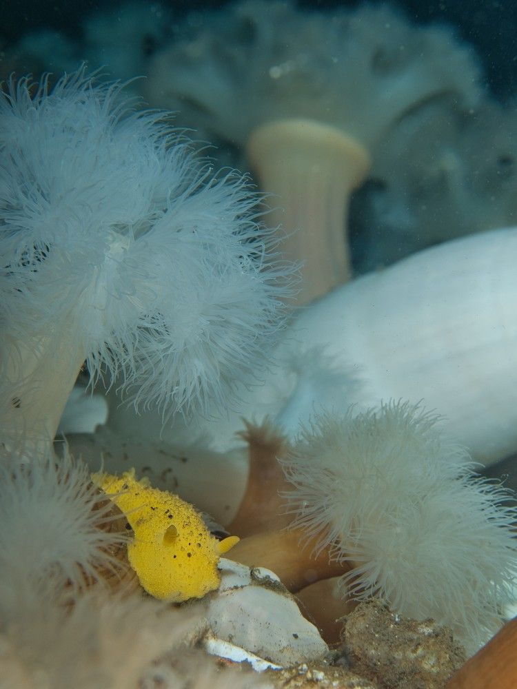 Photograph by Shuo-Wei Chang