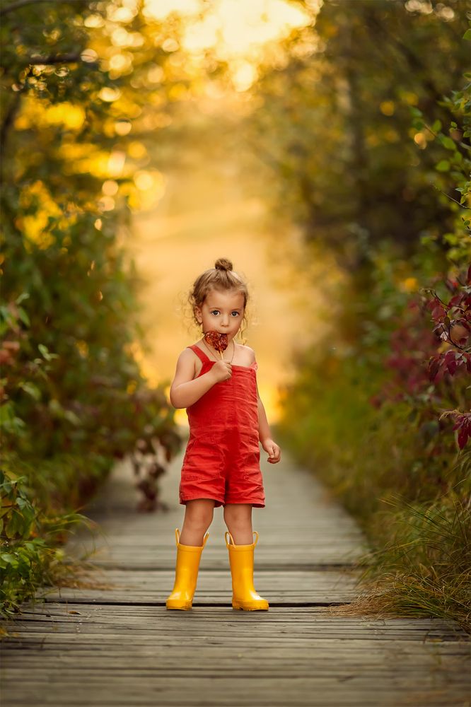 Фотография автора Kateryna Rotari