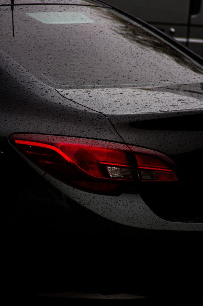 Фотография автора Софья Алексеева