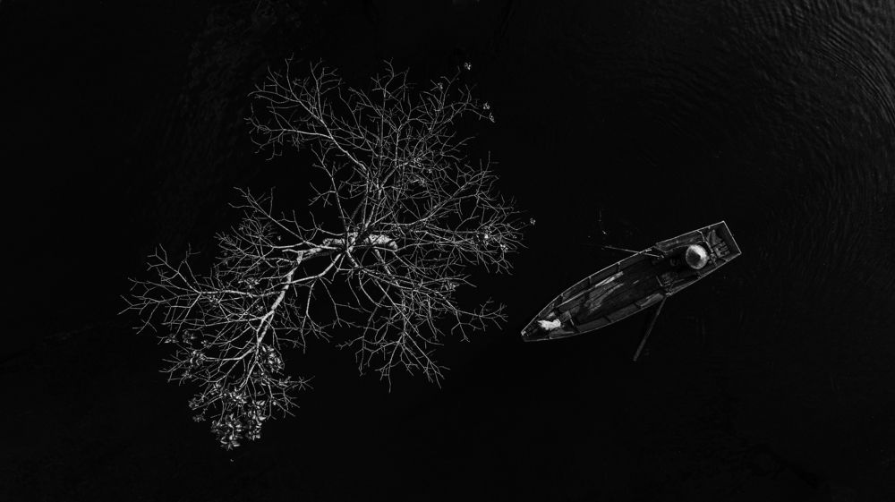 Фотография автора Sơn nguyễn ngọc