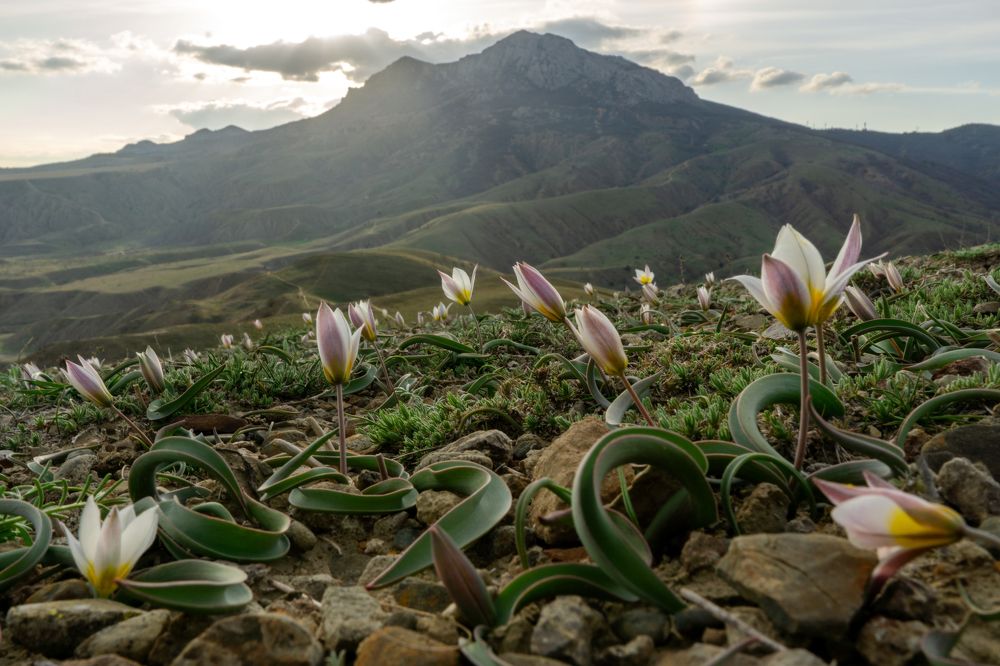 Photograph by Анна Изюмская