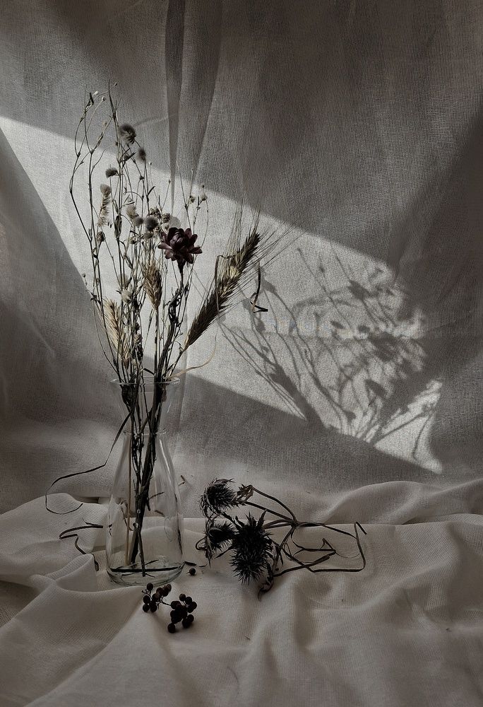 Фотография автора Елена