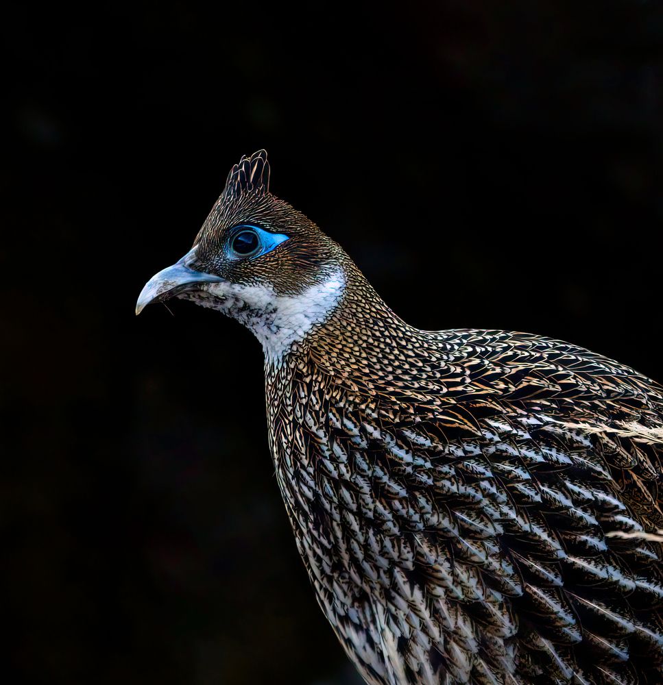 Photograph by Abhishek Manna