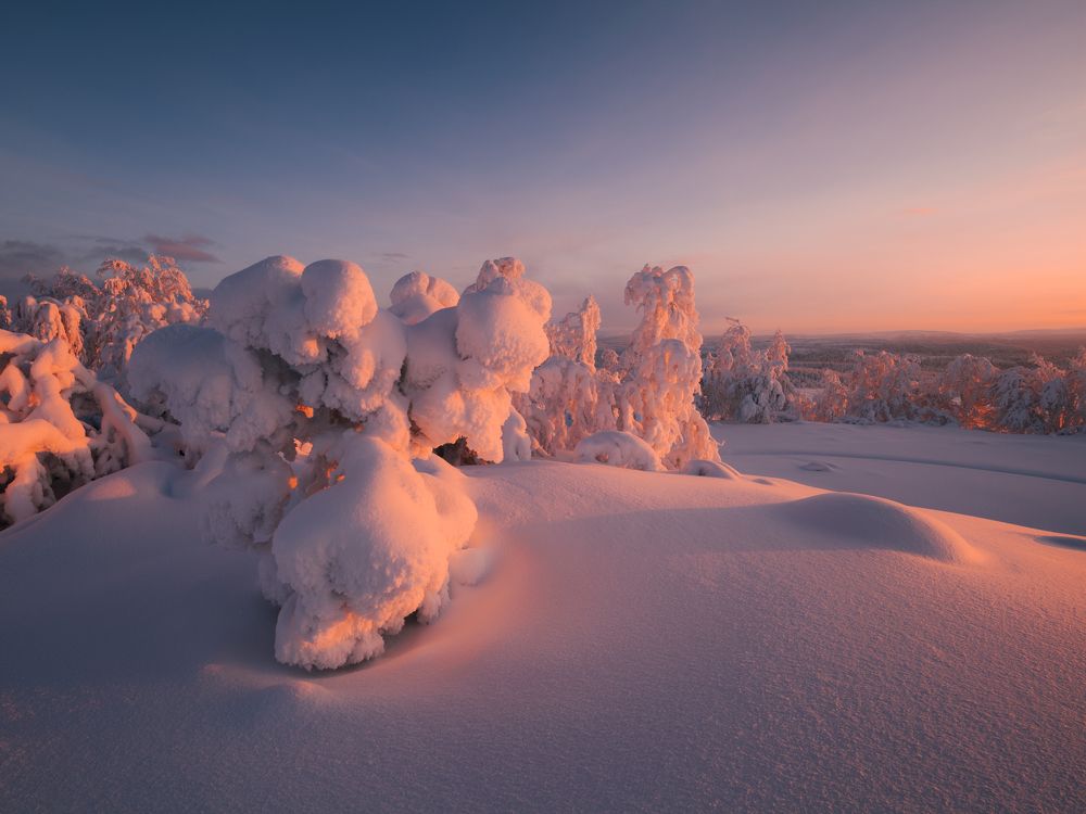 Фотография автора Егор Бушмакин