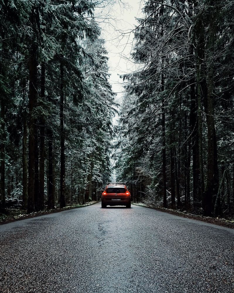 Photograph by Асад Ибадов