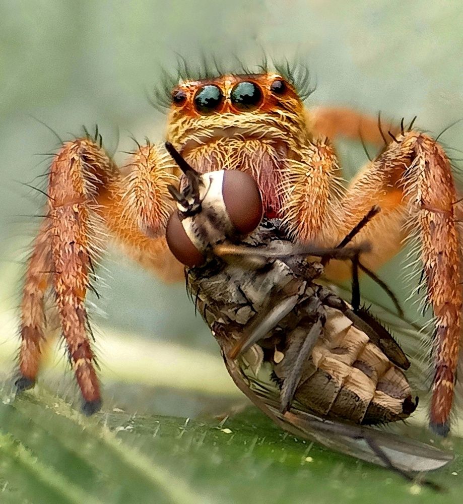 Photograph by Subhajit Jana